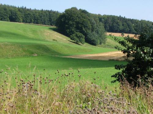 Landgasthof Zur Post Heiligenborn Pokój zdjęcie